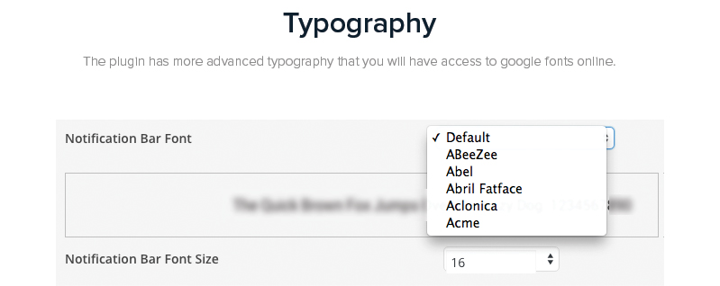 typography-options