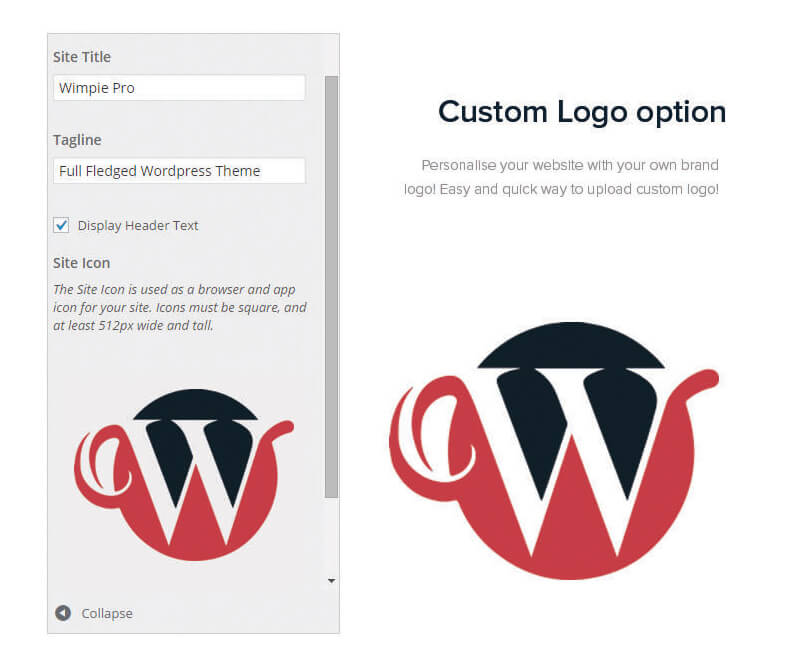 custom-logo-option