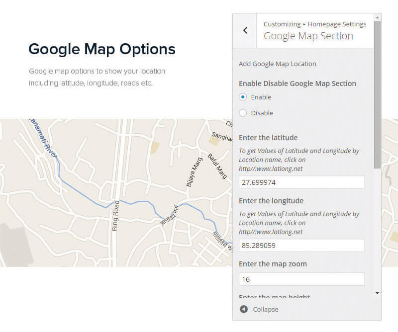 google-map-options