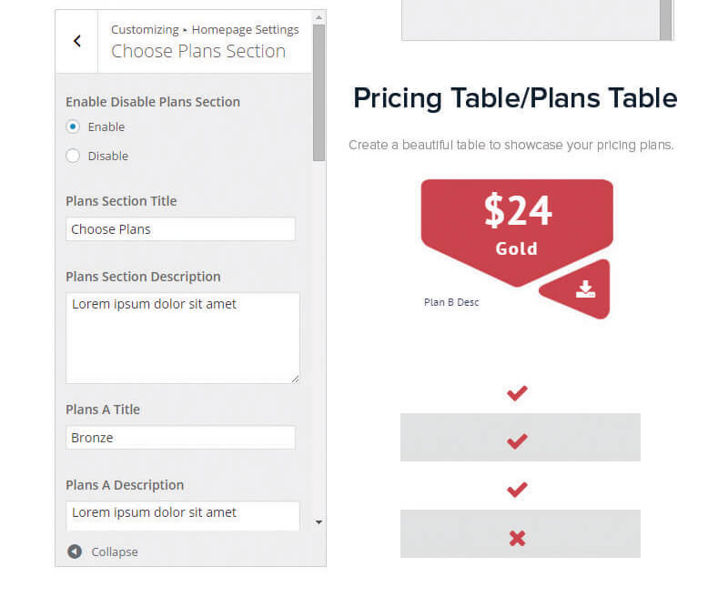 pricing-table-options