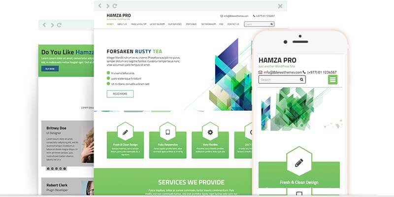 Responsive WP theme Hamza Pro