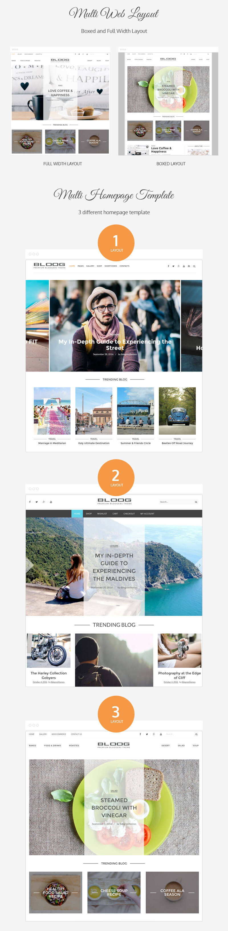 Bloog Pro – Premium WordPress Blog Journal Theme