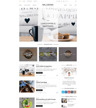 Bloog Pro - Premium WordPress Blog Journal Theme