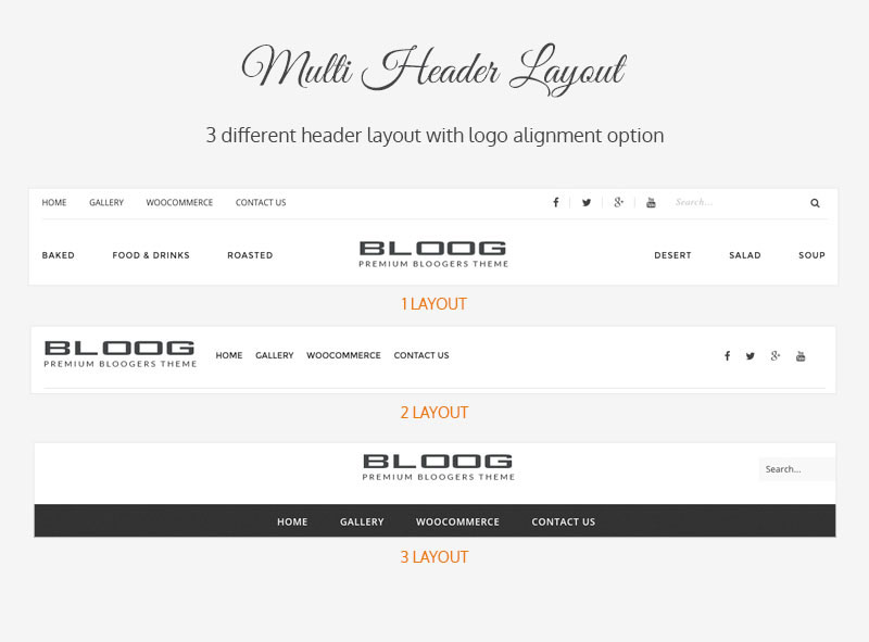 Bloog Pro WP theme feature - Multi header layout