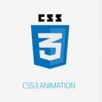 Bloog Pro WP theme feature - CSS3 Animation