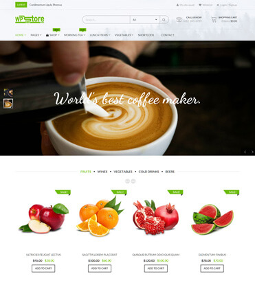 WP Store Pro - Best Premium WooCommerce Store WordPress Theme