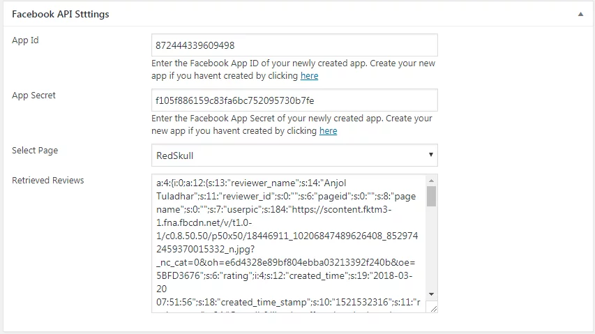 WP FB Review Showcase: API Settings