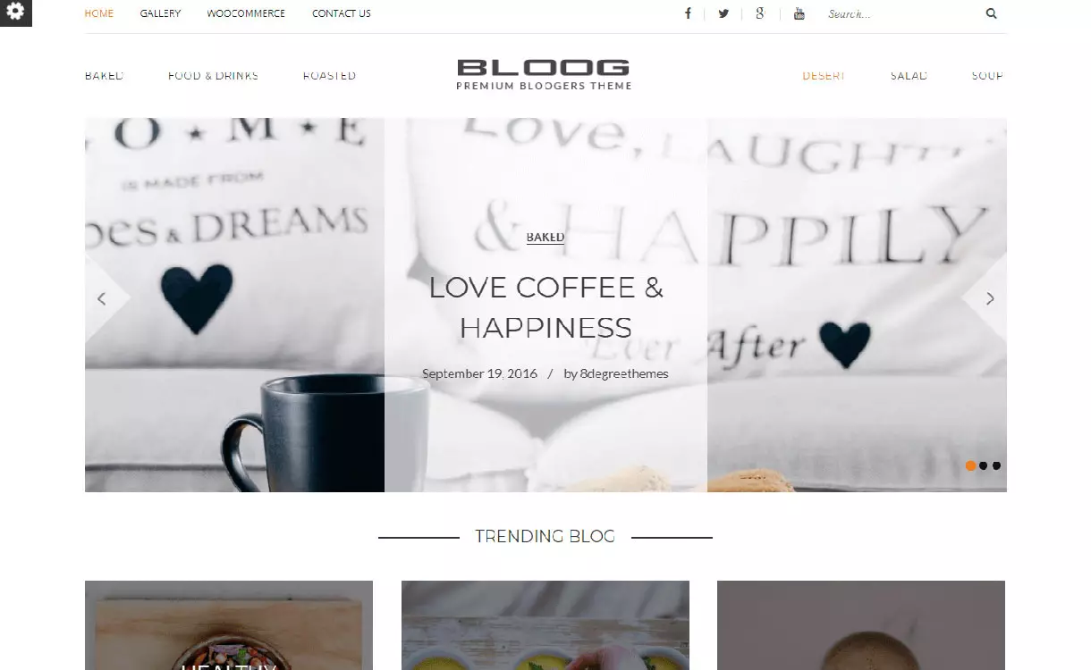 bloog-pro-best-premium-wordpress-blog-themes