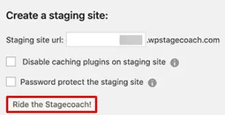 Create a Staging Site for WordPress.