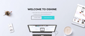 best one page theme oshine
