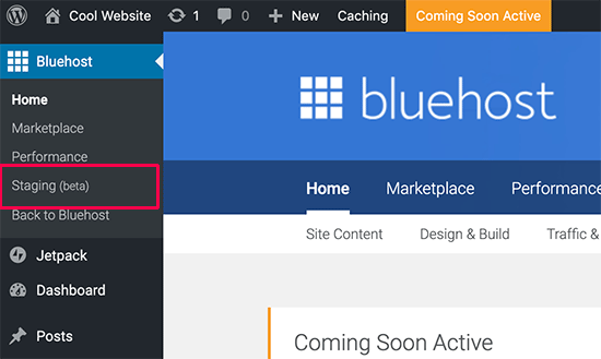 Create Staging Site on Bluehost