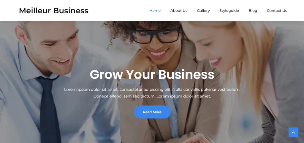 Meilleur Business - Best Free Accounting WordPress Theme