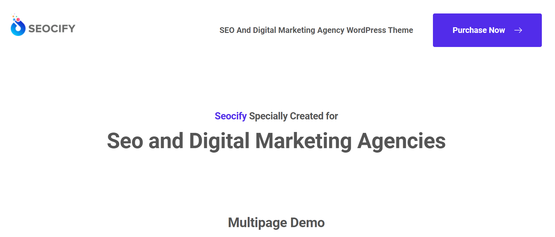 SEO Digital - Best Premium SEO Agency WordPress Themes