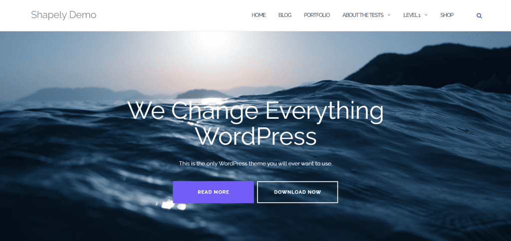 Shapely - Best Free eCommerce WordPress Theme