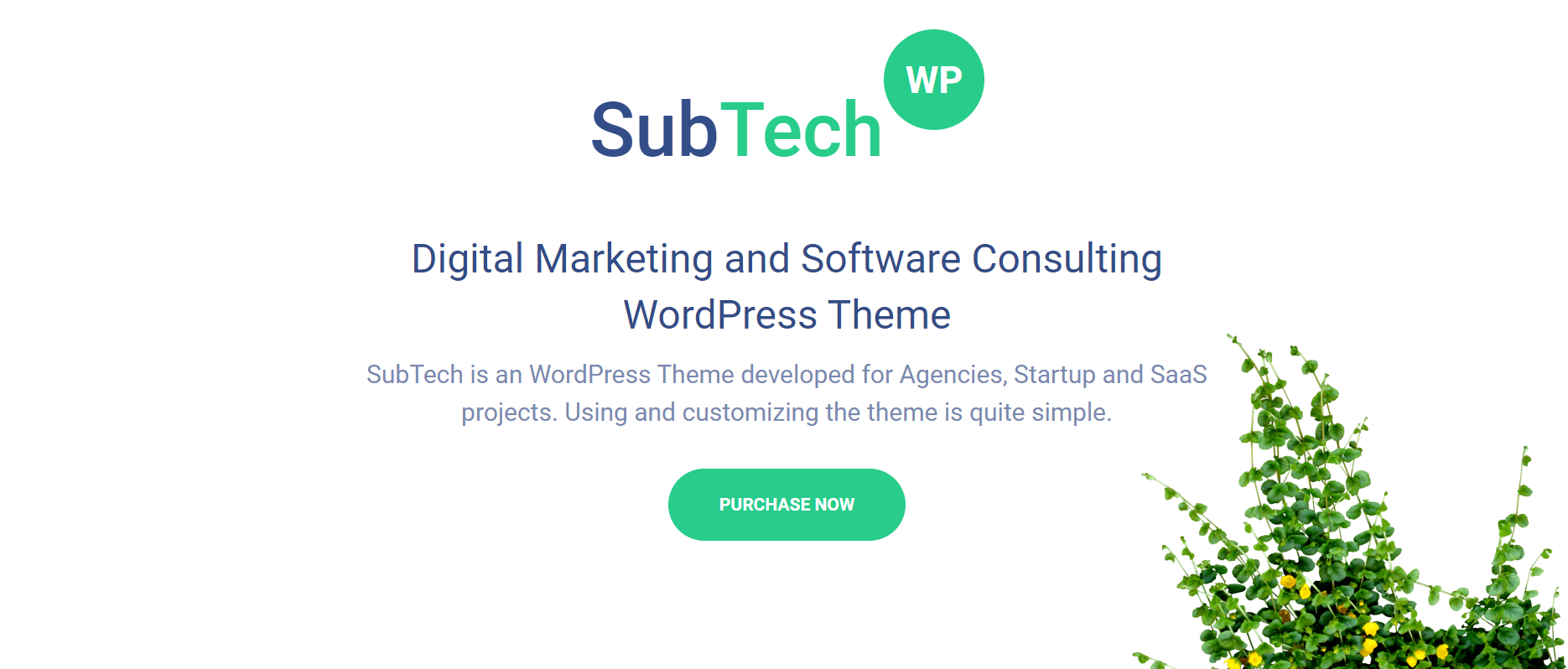 SubTech - Best Premium SEO Agency WordPress Themes
