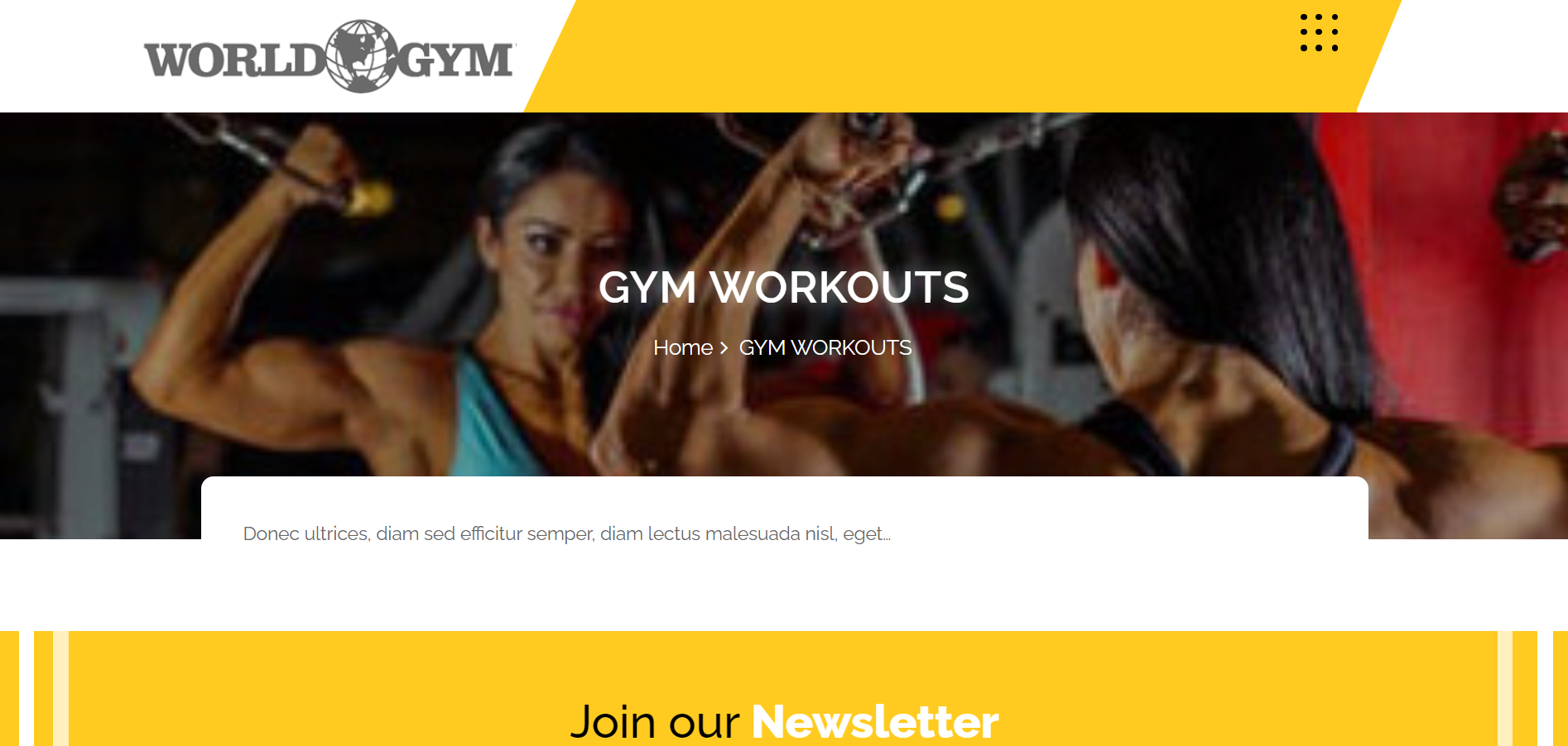 Akhada Fitnes Gym - Best Fitness WordPress Themes