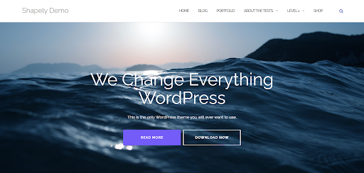 Shapely - Best Simple WordPress Themes for Free
