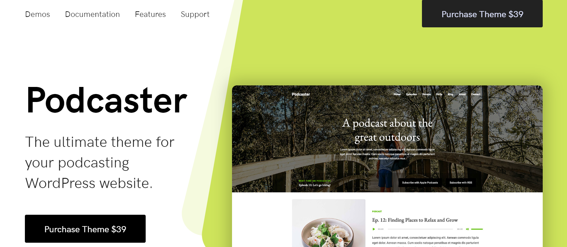 Podcaster - Best WordPress Podcast Themes for Podcasters