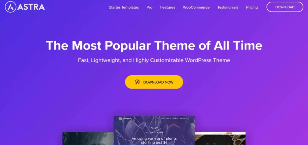 Astra - Best Free SEO Agency WordPress Themes