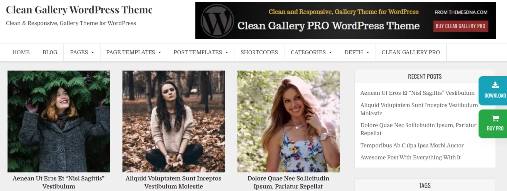Clean Gallery - Best Free Gallery WordPress Themes