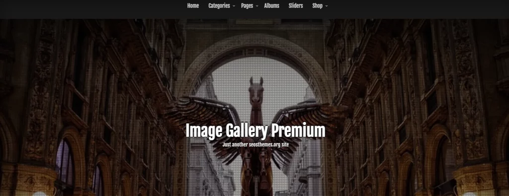 Image Gallery - Best Free Gallery WordPress Themes