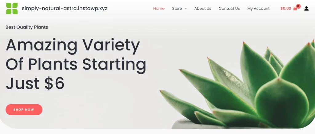 Simply Nature - Best Free eCommerce WordPress Themes and Templates