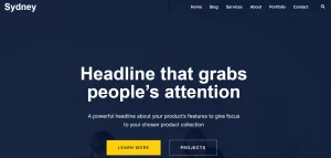 Sydney - Best Free Accounting WordPress Themes