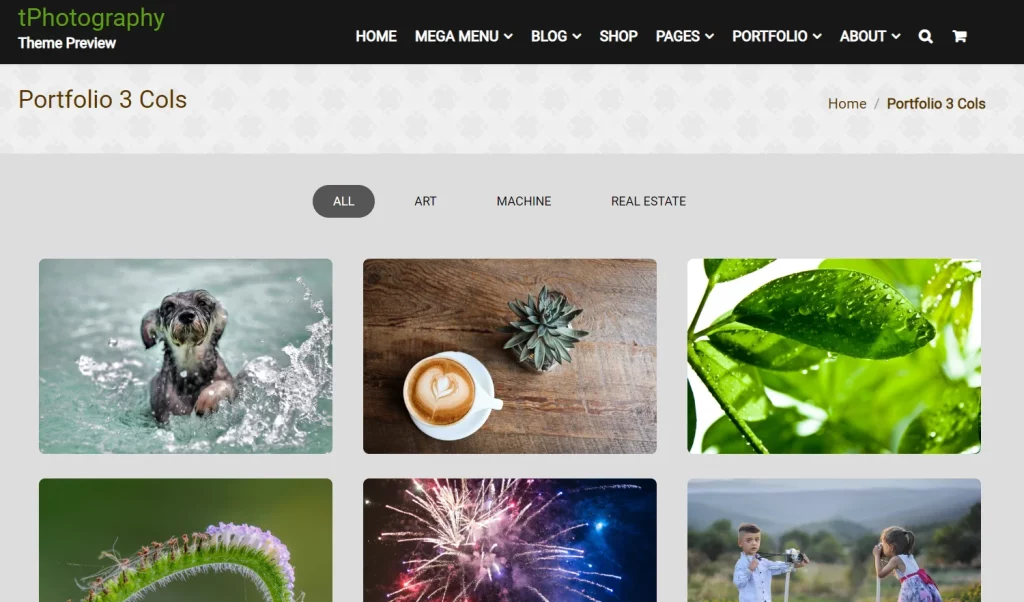 tPhotography - Best Free Photography WordPress Themes