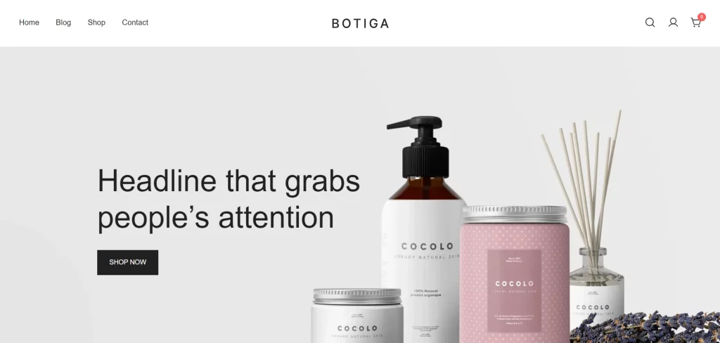 Botiga - Free eCommerce WordPress Theme