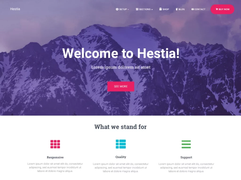 Hestia - Best Free Agency WordPress Theme