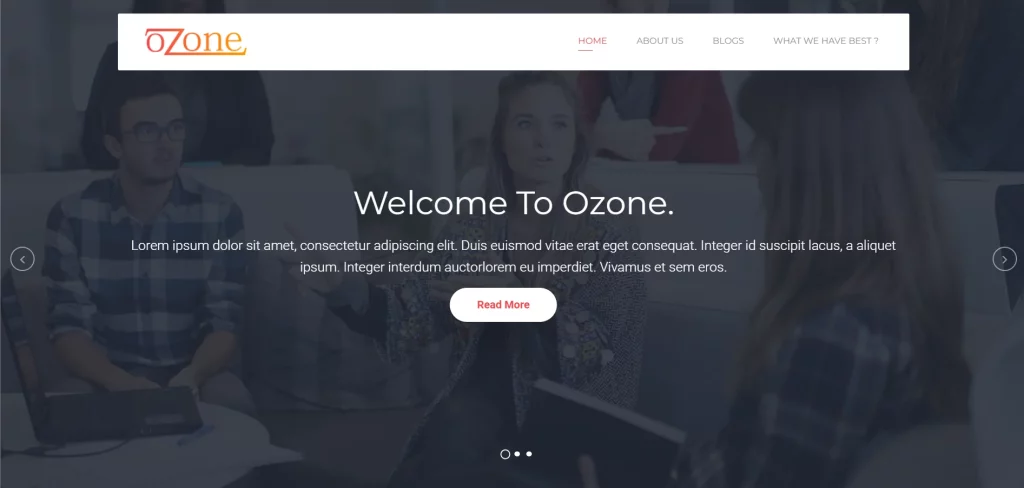 Ozone Lite - Best Free SEO company WordPress Themes