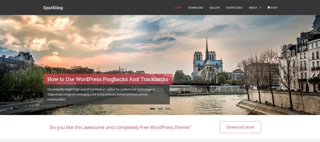 Sparkling - Best Free SEO Agency WordPress Themes