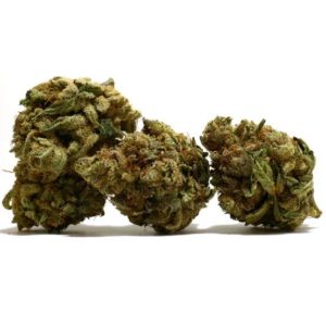 weed store