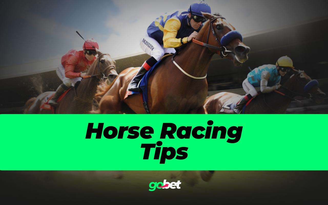 expert betting predictions