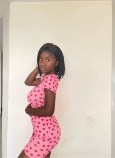 miami escort girls